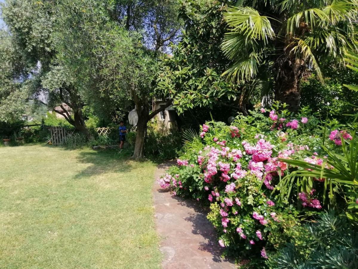 Apartamento Casa Al parco: mansarda, giardino, relax Calavino Exterior foto